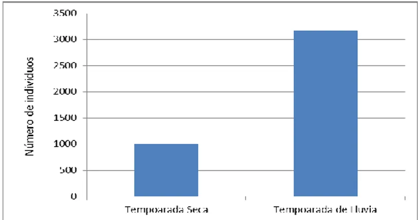 Fig.  7 . Variación  de  la  abundancia  de  escarabajos  coprófagos  durante  las  dos  épocas de muestreo (sequía del 18 al 22 de  enero  y  temporada  lluvias  del  25  al  29  abril)