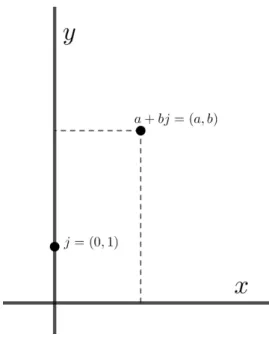 Figura 1.1: Representaci´ on de los elementos (0, 1), (a, b) ∈ R 2 en el plano irreal.