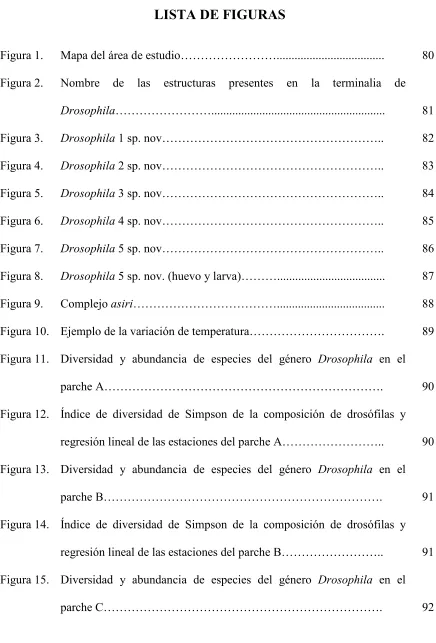 Figura 1. 