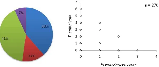 Figura 9  Porcentaje de infestación y relación entre la densidad de P. vorax y T. solanivora  en un saco  de tubérculos  de papas colectado en Puelazo, provincia de  Chimborazo