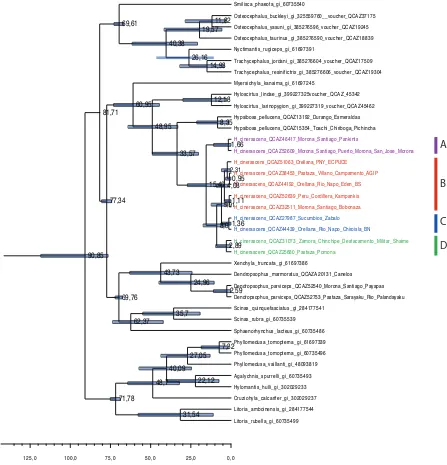 Figura 5. Árbol filogenético del Análisis Bayesiano que estima el tiempo de divergencia 