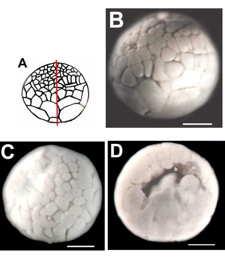Fig. 3.  