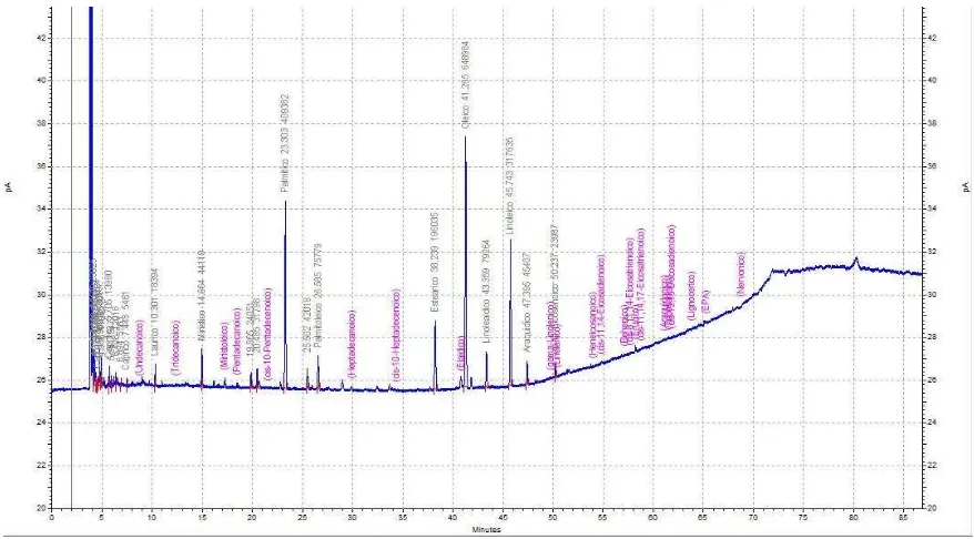 Figura 3.4. Cromatograma de separación de metil ésteres de ácidos grasos de 