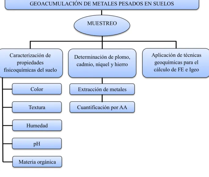 Figura 2.1. Esquema del desarrollo de la metodología 