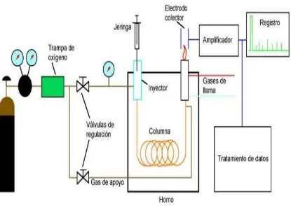Figura  1.13 Componentes del equipo de cromatografía de gases (Consejo Superior de 