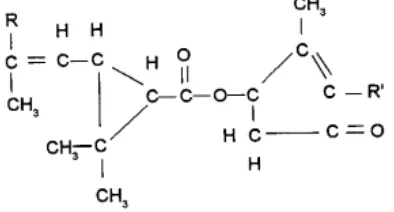Figura 1.4. Estructura química general de las piretrinas 