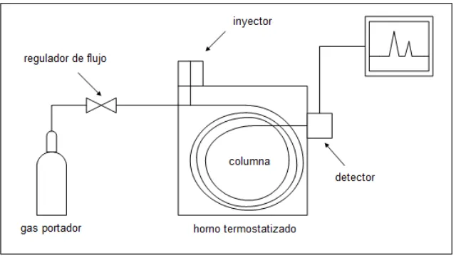 Figura 1.6. Diagrama de un cromatógrafo de gases 