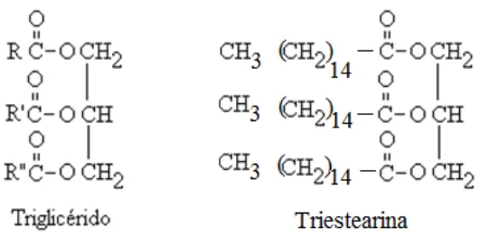 Figura 1.5. Estructura y ejemplo de un triglicérido 
