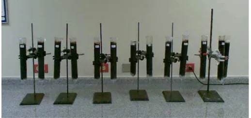 Figura 2.1. Sistema de columnas 