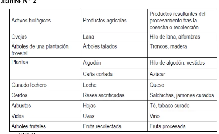 Cuadro N° 2 