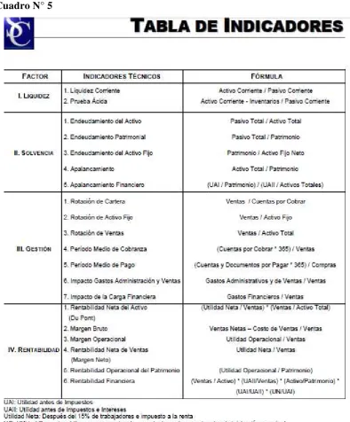 Cuadro N° 5 