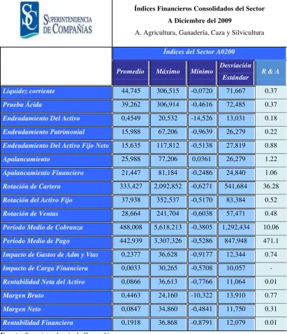 Cuadro N° 10 