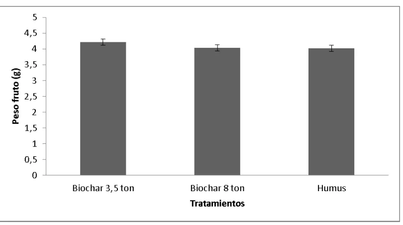 Figura 1. Promedio ± desviación estándar del peso de los frutos (g), después de un año de aplicados los diferentes tratamientos en el cultivo de uchuva)
