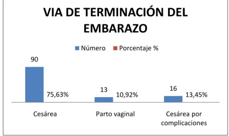 GRÁFICO 6 