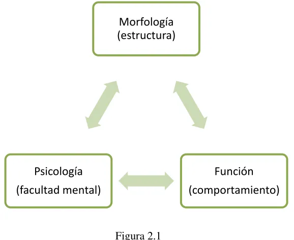 Figura 2.1 