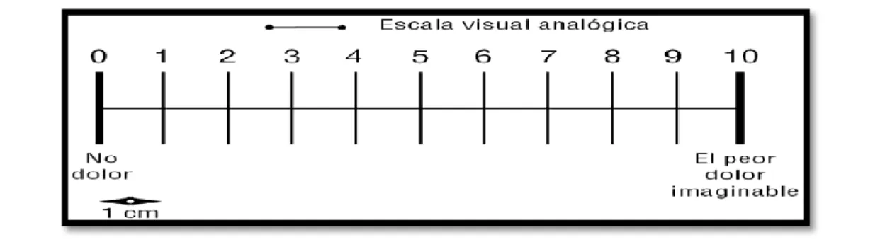 Ilustración 16. Escala Visual Analógica (EVA) 