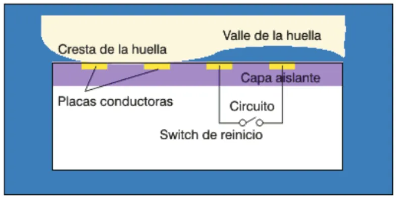 Figura 1.16: Sensor capacitivo 