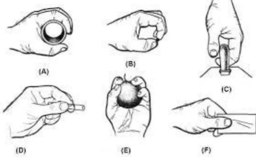 Ilustración 7Tipos de prensión de la mano  Elaboración: Juan Bajaña  