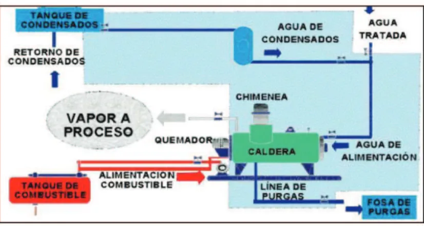 Figura 1.4 Sistema de generación y distribución del vapor saturado (23) 