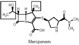 Figura 1. Estructura química imipenem  