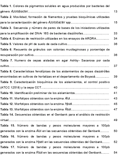 Tabla 3. Secuencia y número de pares de bases de los iniciadores utilizados 