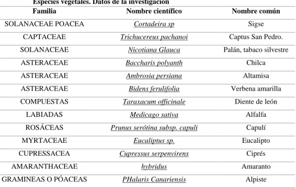 Tabla 15. Especies vegetales. Datos de la investigación 