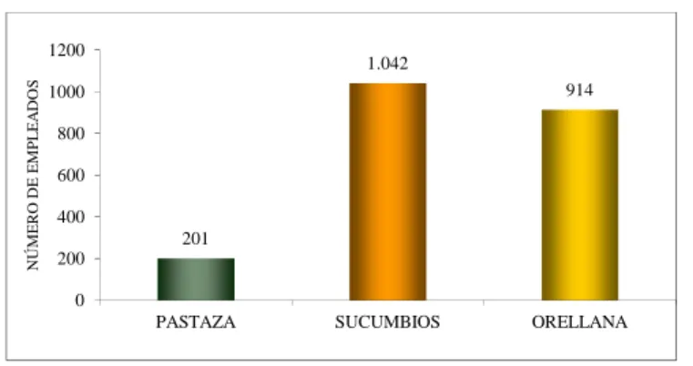 Figura 14 – Empleados PETROECUADOR y Cías. Privadas por Provincias, Región  Amazónica, 2001 (Número de empleados)