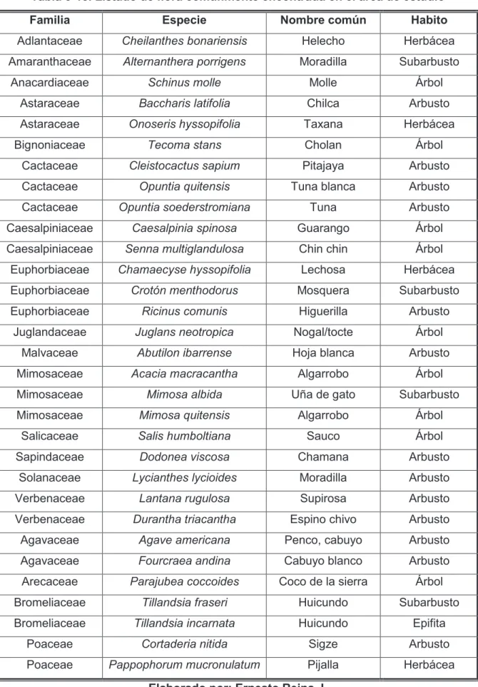 Tabla 3-13. Listado de flora comúnmente encontrada en el área de estudio 