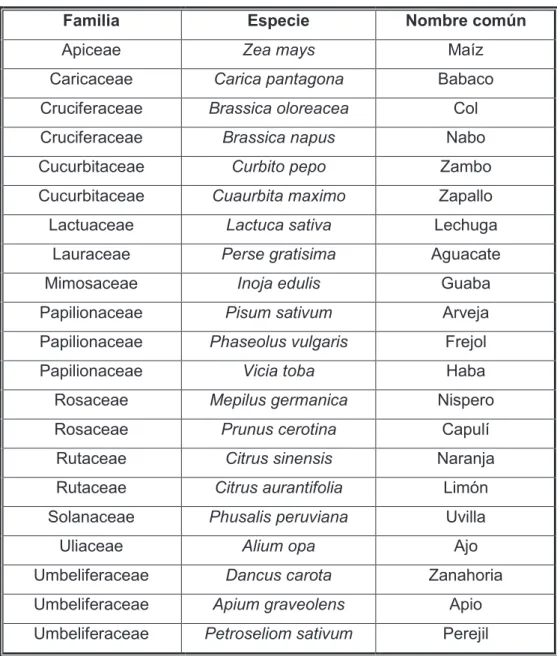 Tabla 3-14. Listado de cultivos más comunes en el área de estudio 