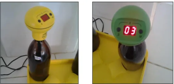 Figura 4. Determinación de DBO. 