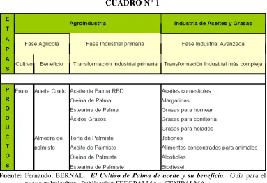 CUADRO N° 1 