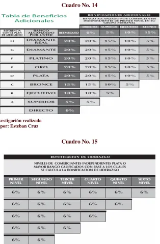 Cuadro No. 15 