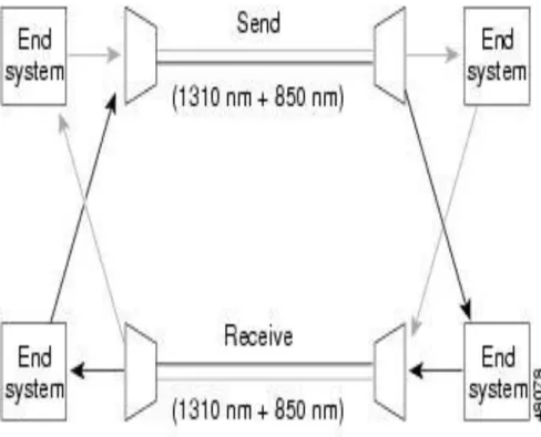 FIGURA 22: DWDM 