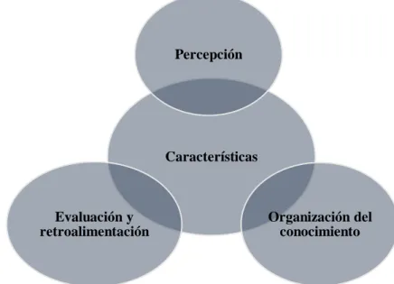Gráfico 8 