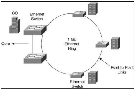 Figura 1.11. Esquema de red IP Metro Ethernet 