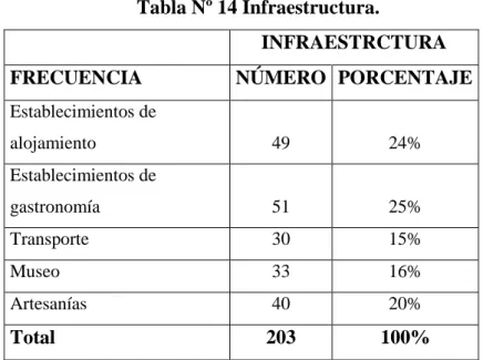 Tabla Nº 14 Infraestructura. 