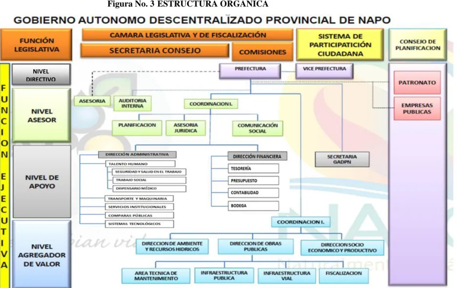 Figura No. 3 ESTRUCTURA ORGÁNICA 