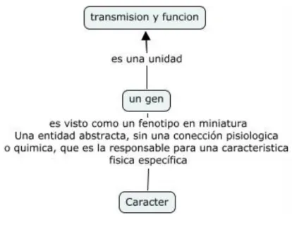 Figura 3. Modelo de función génica mendeliana. Gericke y Hagberg (2007), 