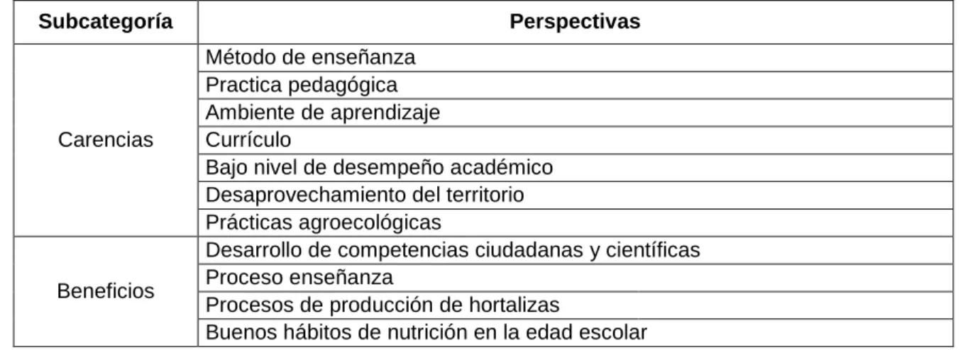 Tabla 3: Subcategorías y perspectivas de la categoría planteamiento del problema 