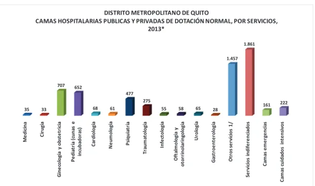 Figura 19.  Identificación de camas hospitalarias públicas y privadas de dotación normal  por servicios en el DMQ, 2013 