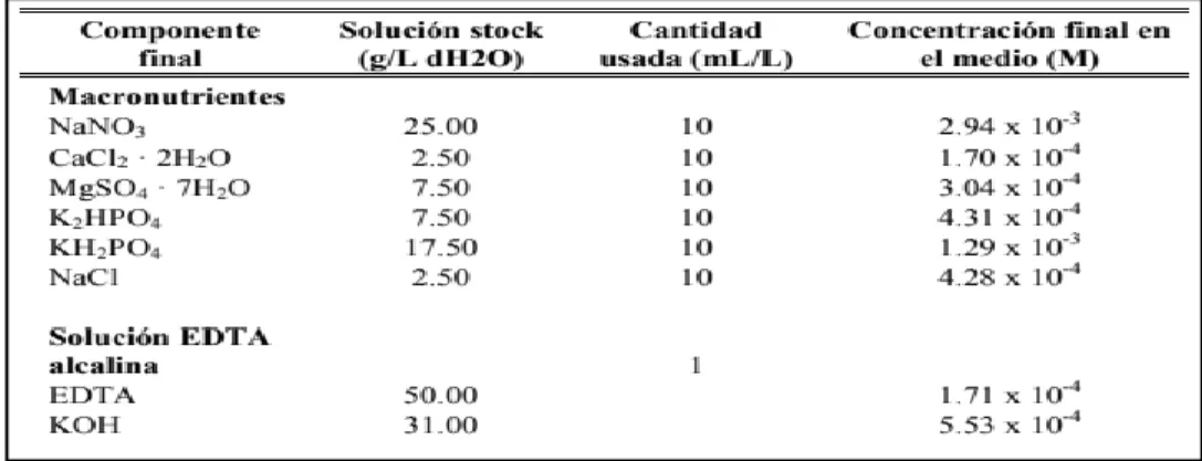 Figura 9. Adaptación del Medio Basal de Bold (BBM). 