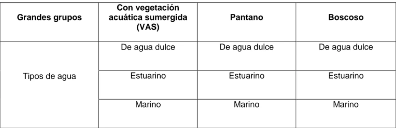 Tabla 1. Clasificación de humedales, adaptado de Acueducto de Bogotá y Conservación Internacional 2003 