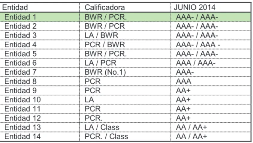 Tabla 31. Calificación de Riesgo 