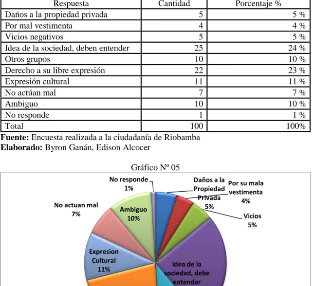 Gráfico Nº 05 