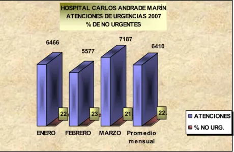 Gráfico No. 6 
