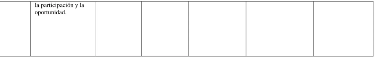 Cuadro 13. Descripción de las categorías y subcategorías 