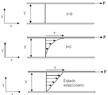 Figura 1.1. Perfil de velocidades en el experimento de viscosidad de Newton 