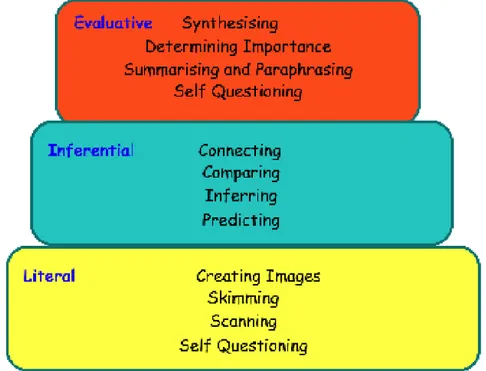 Figure 3- Levels of Comprehension  