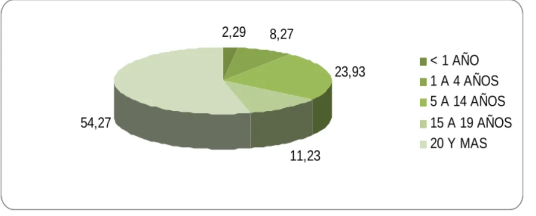 GRÁFICO  NO. 24 