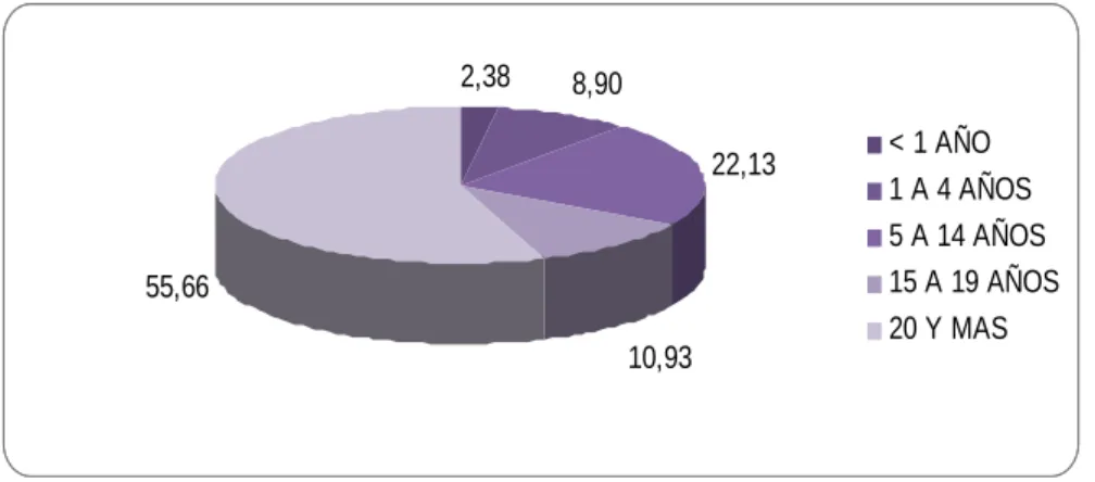 GRÁFICO  NO. 25 